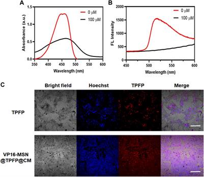 Tumor-targeted bioactive nanoprobes visualizing of hydrogen peroxide for forecasting chemotherapy-exacerbated malignant prognosis